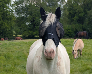 ThinLine Soft-Fit Fliegenmaske – weich, leicht & fressbremsentauglich