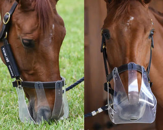 Bundle - Grazingmuzzle "Fressbremse" + Halfter