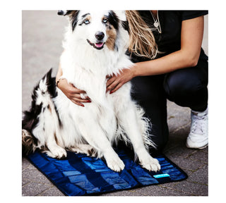 Back on Track Cooling Towel – kühlendes Handtuch für Pferd, Hund & Reiter