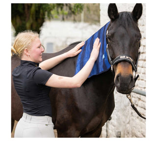 Back on Track Cooling Towel – kühlendes Handtuch für Pferd, Hund & Reiter